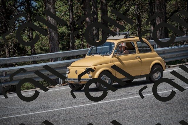 20250706110130-_5008216_am_