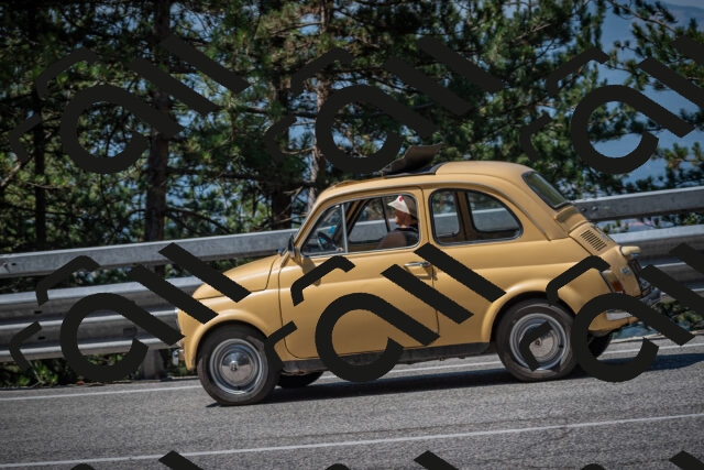 20250706110131-_5008217_am_