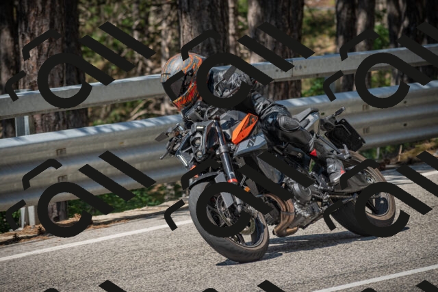 20250706110220-_5008222_am_