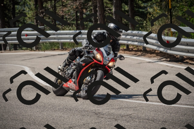 20250706110505-_5008240_am_