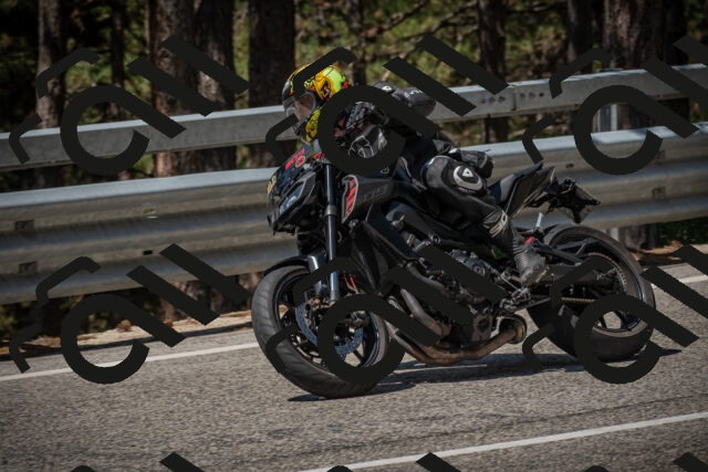 20250706111319-_5008291_am_