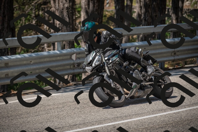 20250706112350-_5008439_am_