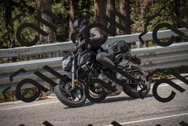 20250706112400-_5008446_am_