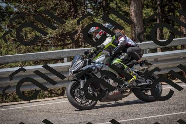 20250706113116-_5008504_am_