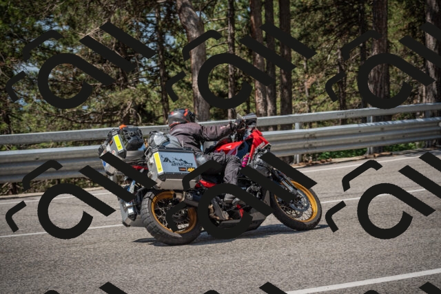 20250706113204-_5008518_am_