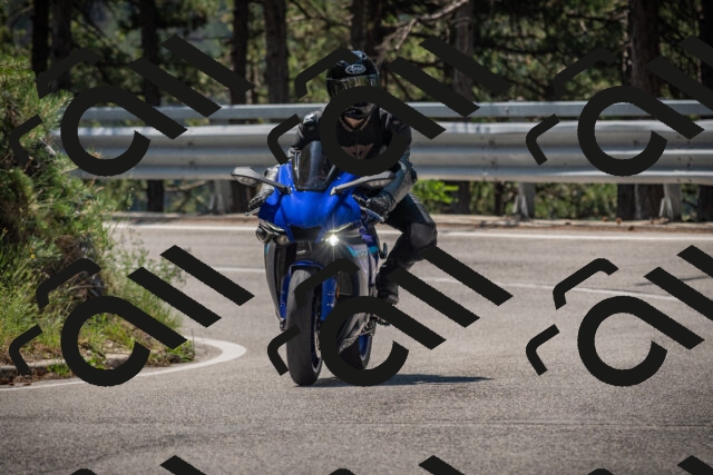 20250706113302-_5008541_am_