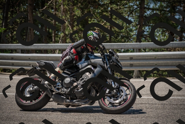 20250706113842-_5008603_am_