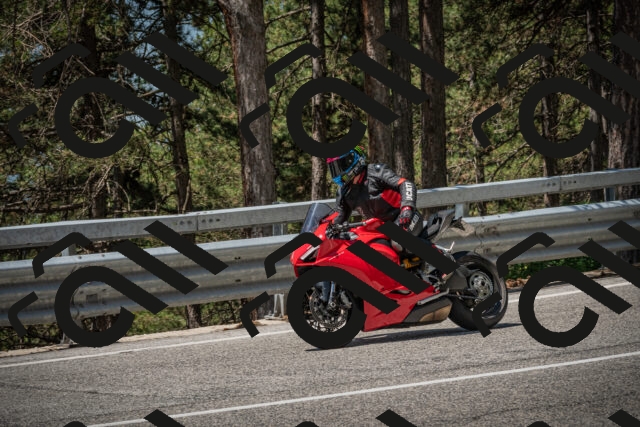 20250706114017-_5008631_am_