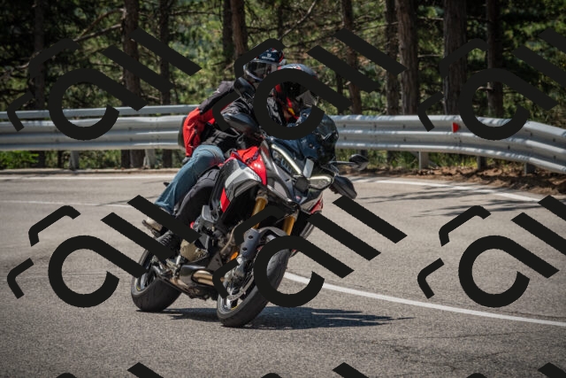 20250706115304-_5008758_am_