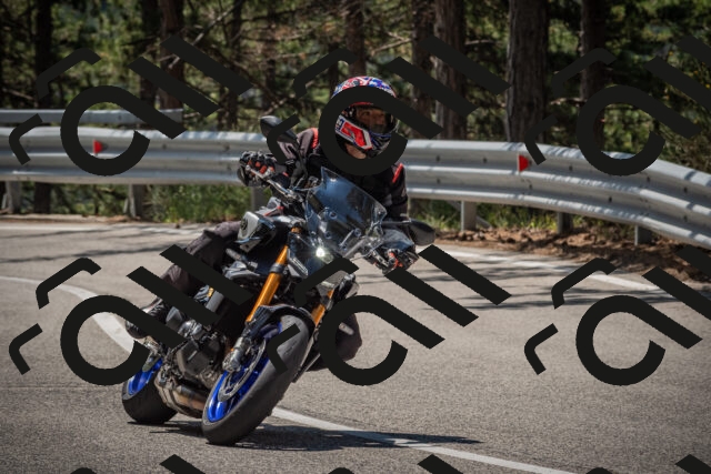 20250706120039-_5008794_am_