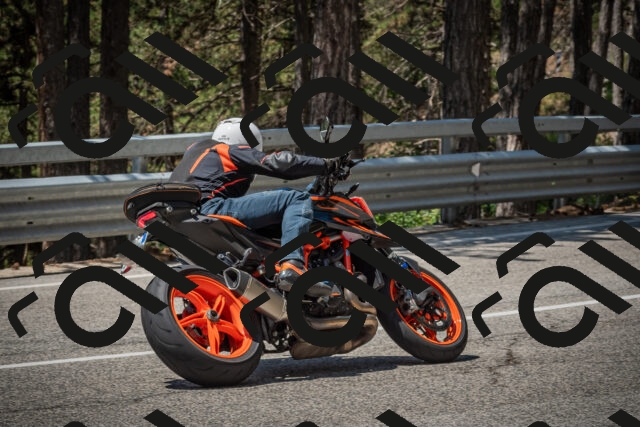 20250706120042-_5008801_am_