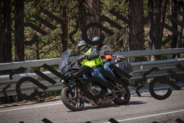 20250706120056-_5008802_am_