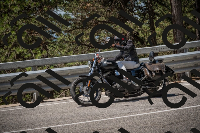 20250706120209-_5008817_am_