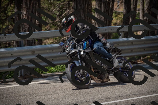 20250706120400-_5008834_am_