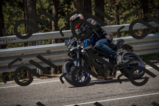 20250706120400-_5008835_am_