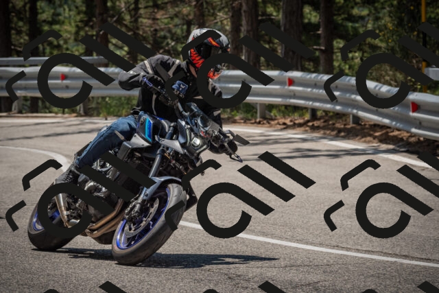 20250706120559-_5008856_am_