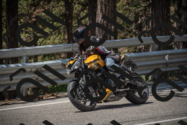 20250706120849-_5008881_am_