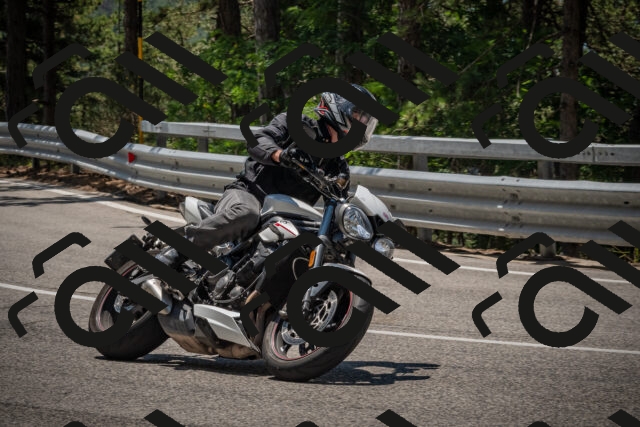 20250706121308-_5008923_am_