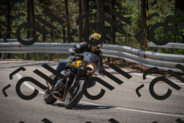 20250706121313-_5008928_am_