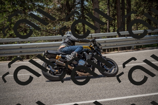 20250706121315-_5008932_am_