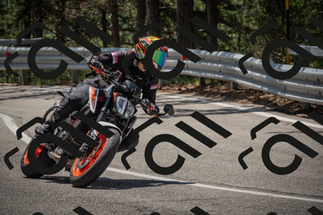 20250706121329-_5008942_am_