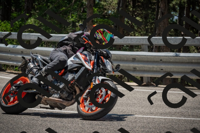 20250706121329-_5008944_am_