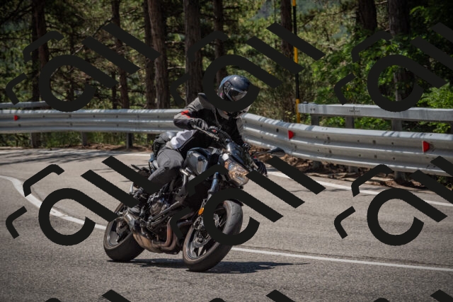 20250706121719-_5008996_am_