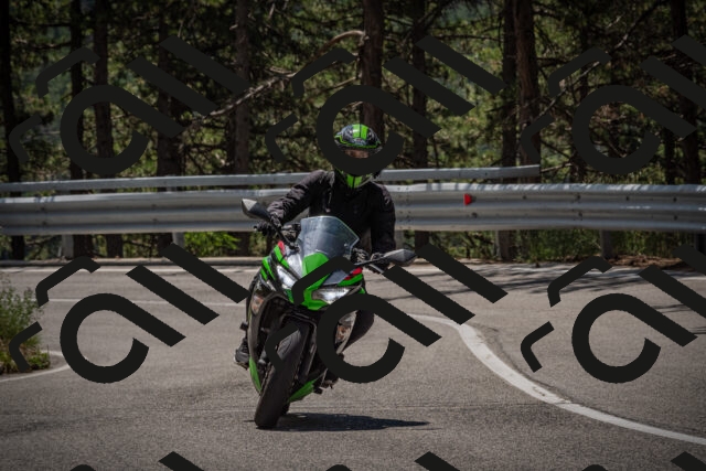 20250706121727-_5009004_am_