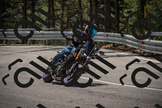 20250706121859-_5009024_am_