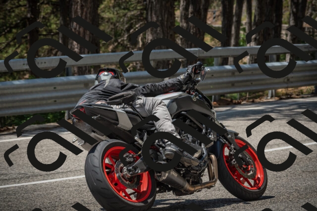 20250706122453-_5009079_am_