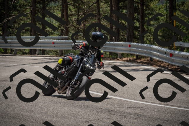 20250706122953-_5009120_am_