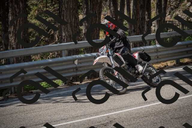 20250706123121-_5009159_am_