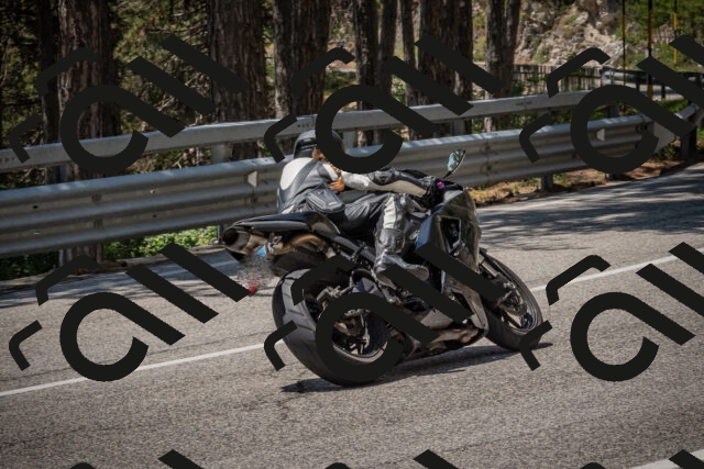 20250706123338-_5009185_am_