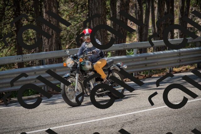 20250706123623-_5009198_am_