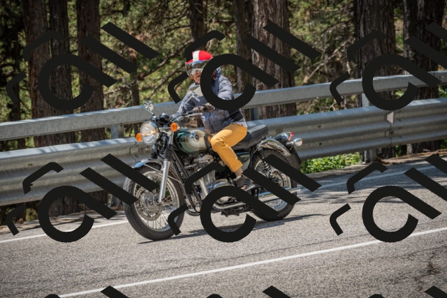 20250706123623-_5009199_am_