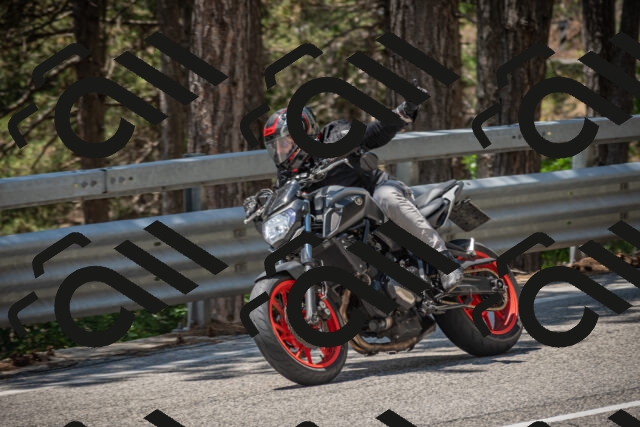 20250706123809-_5009235_am_