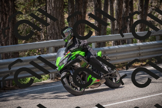 20250706124033-_5009261_am_