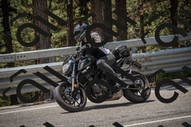 20250706124036-_5009267_am_