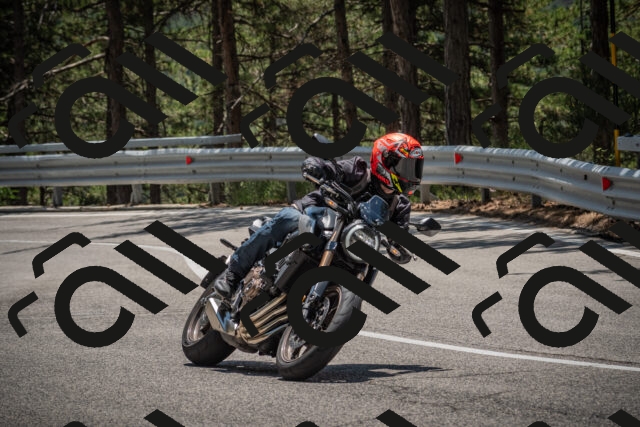 20250706124646-_5009302_am_