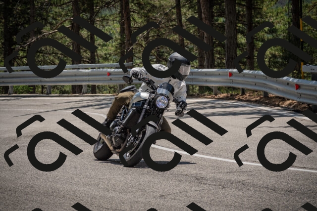 20250706125054-_5009335_am_