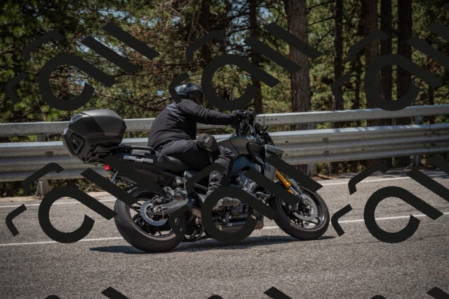 20250706125321-_5009352_am_