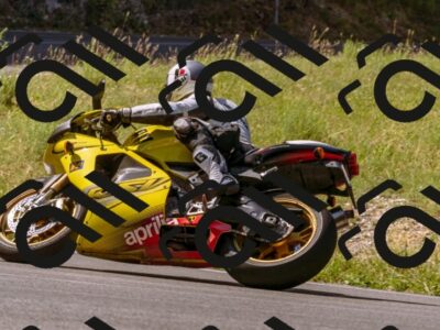 202507051042-_DSC2299_d1_