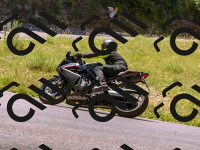 202507051142-_DSC2686_d1_