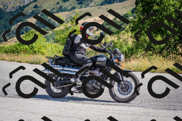 202507061019-DSC_4375_c2