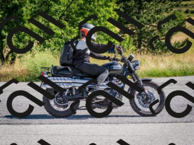 202507061019-DSC_4376_c2