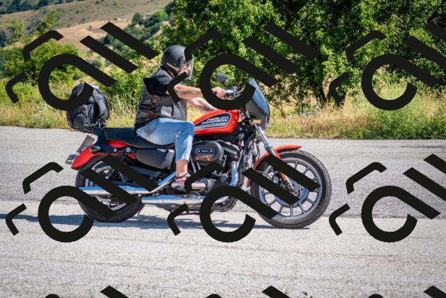 202507061019-DSC_4378_c2