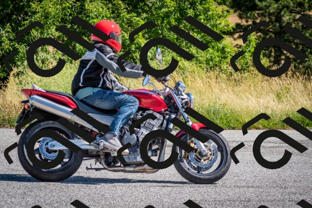 202507061021-DSC_4387_c2