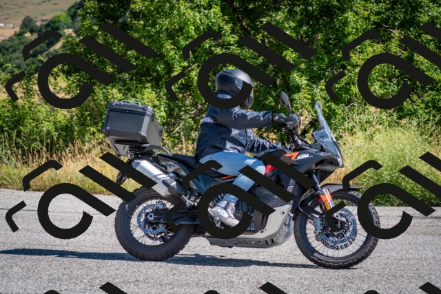 202507061028-DSC_4434_c2