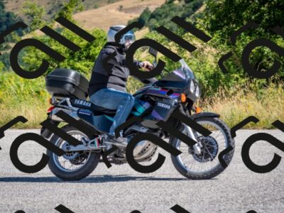 202507061030-DSC_4479_c2