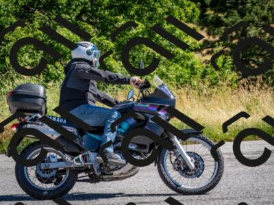 202507061030-DSC_4480_c2